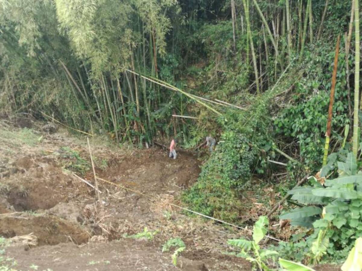 Carder suspende proyecto en Dosquebradas
