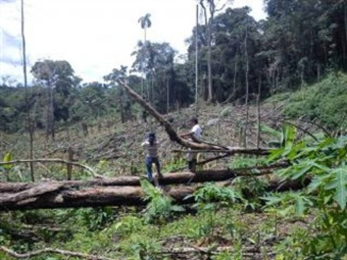 Delitos contra recursos naturales y medio ambiente