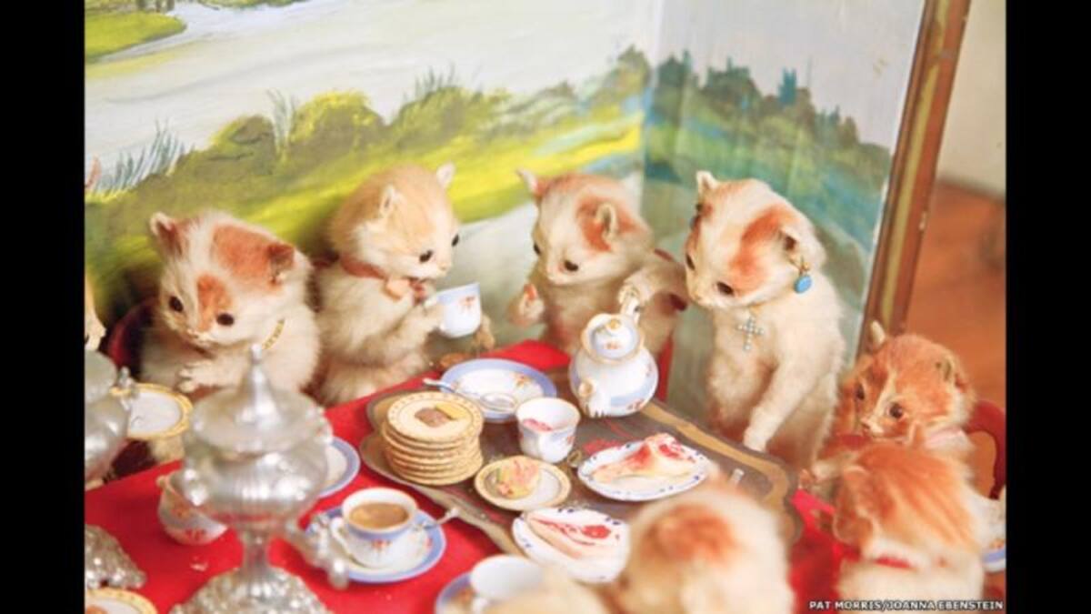 Un postor que hizo su oferta telefónicamente pagó alrededor de US$28.000 por la maqueta de 37 gatitos disecados tomando el té.