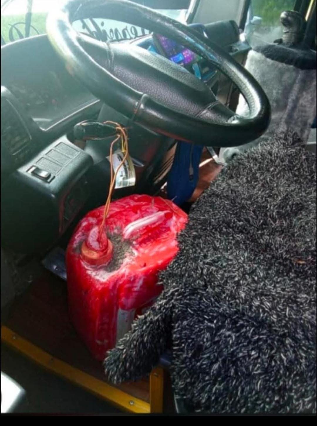 Fotografía cortesía