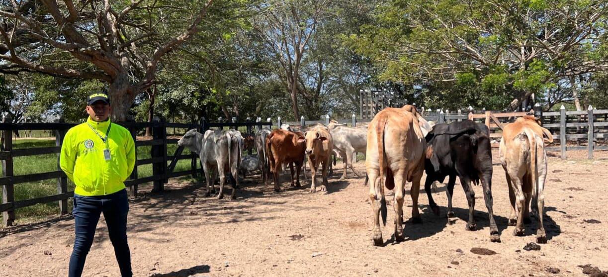 Departamento de Policía Bolívar