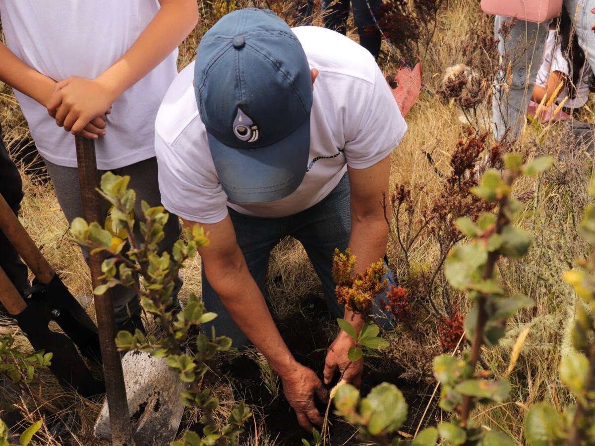 Festival Internacional de cine, El Cine Suma Paz 2024