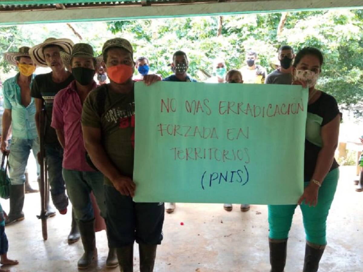 Cultivadores de Coca solicitan que se les gire urgente la plata del PNIS