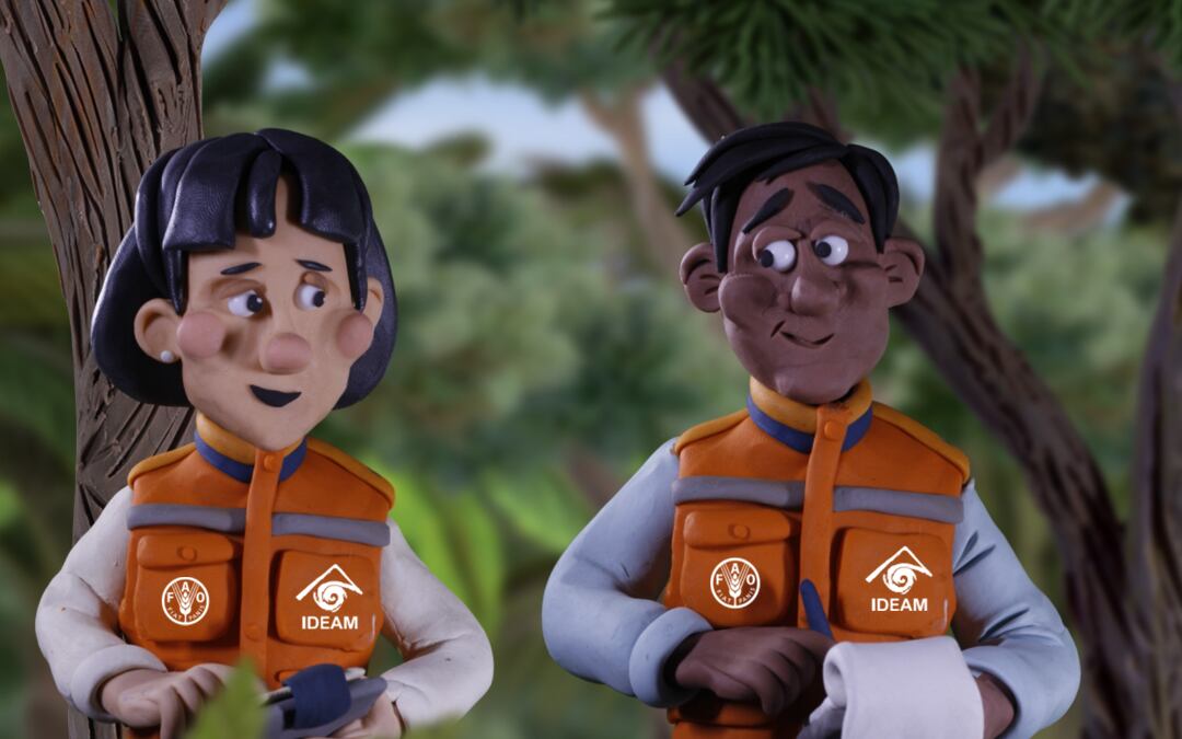 Capítulo 4: CRAX explica qué es y para qué sirve el Inventario Forestal Nacional