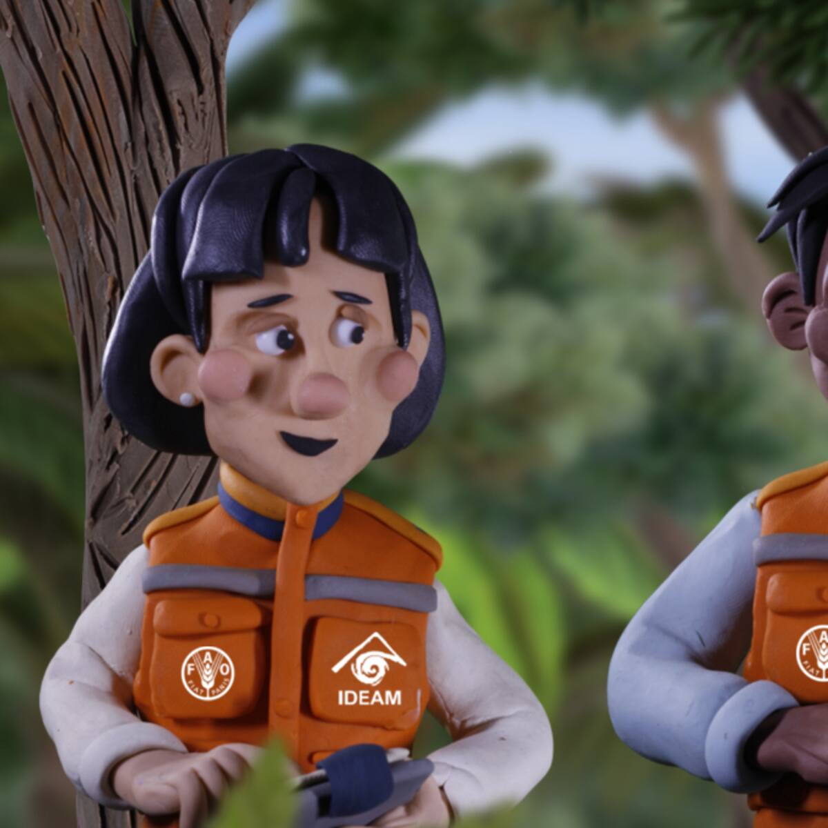 Capítulo 4: CRAX explica qué es y para qué sirve el Inventario Forestal Nacional