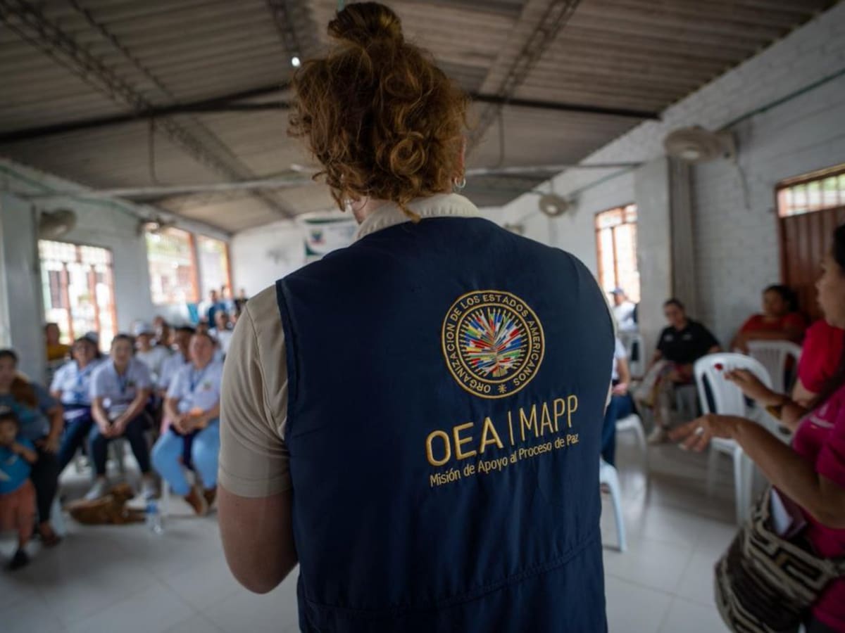 OEA rechaza restricciones de disidencias para operar en Colombia