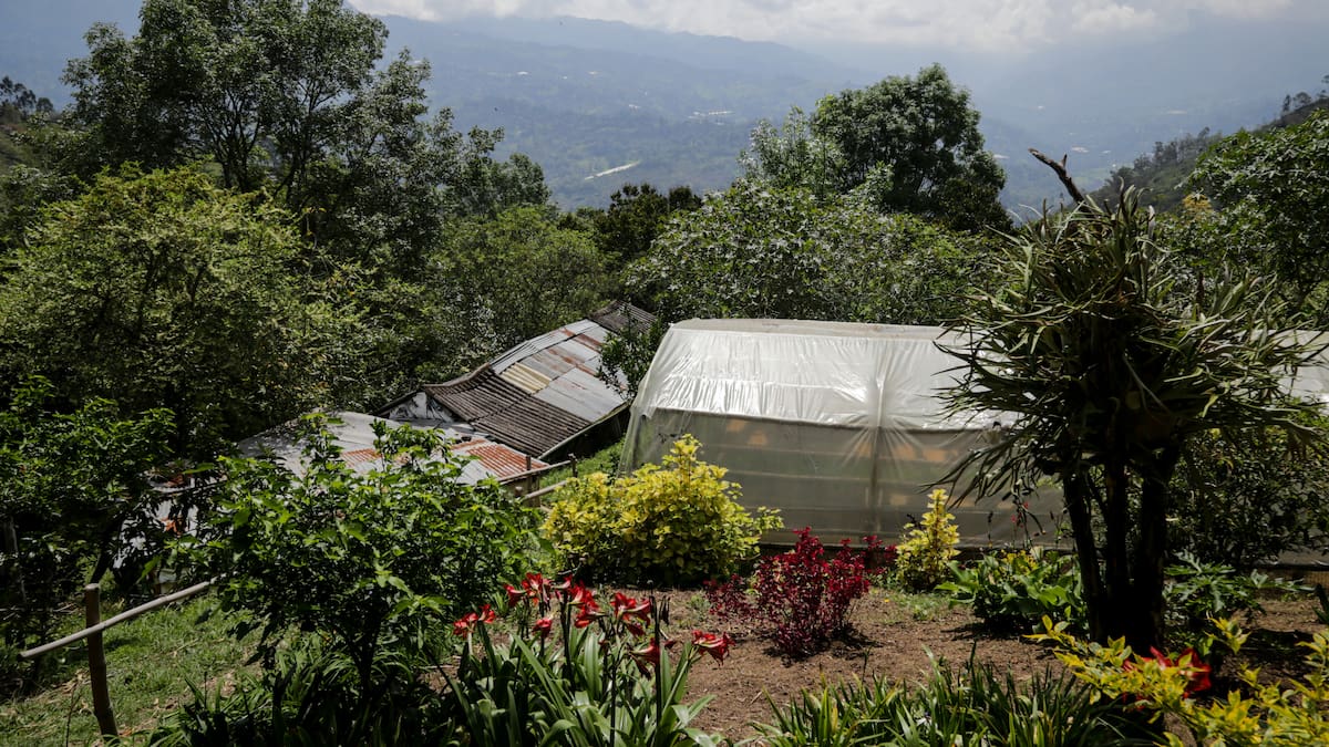 El 94% de los predios en Colombia no tienen actualización catastral