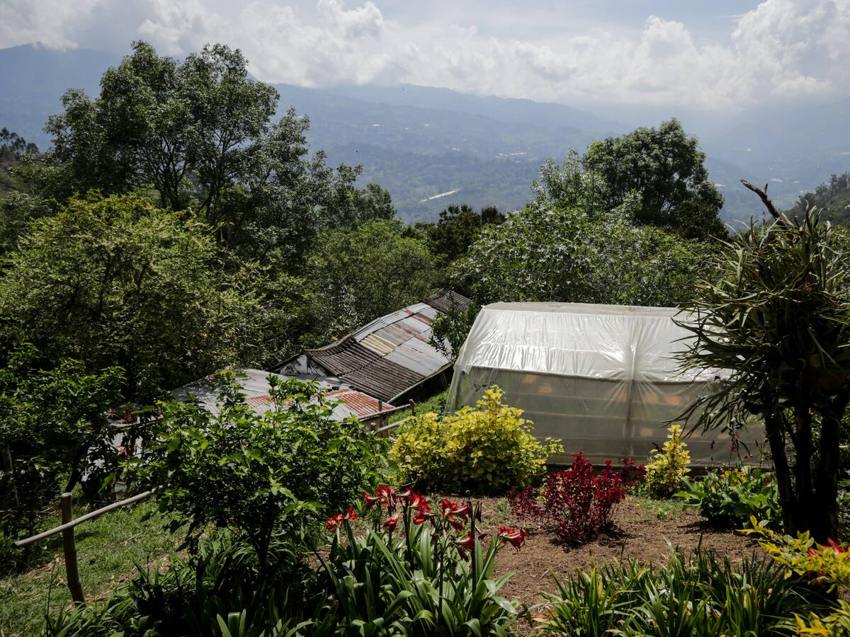 El 94% de los predios en Colombia no tienen actualización catastral