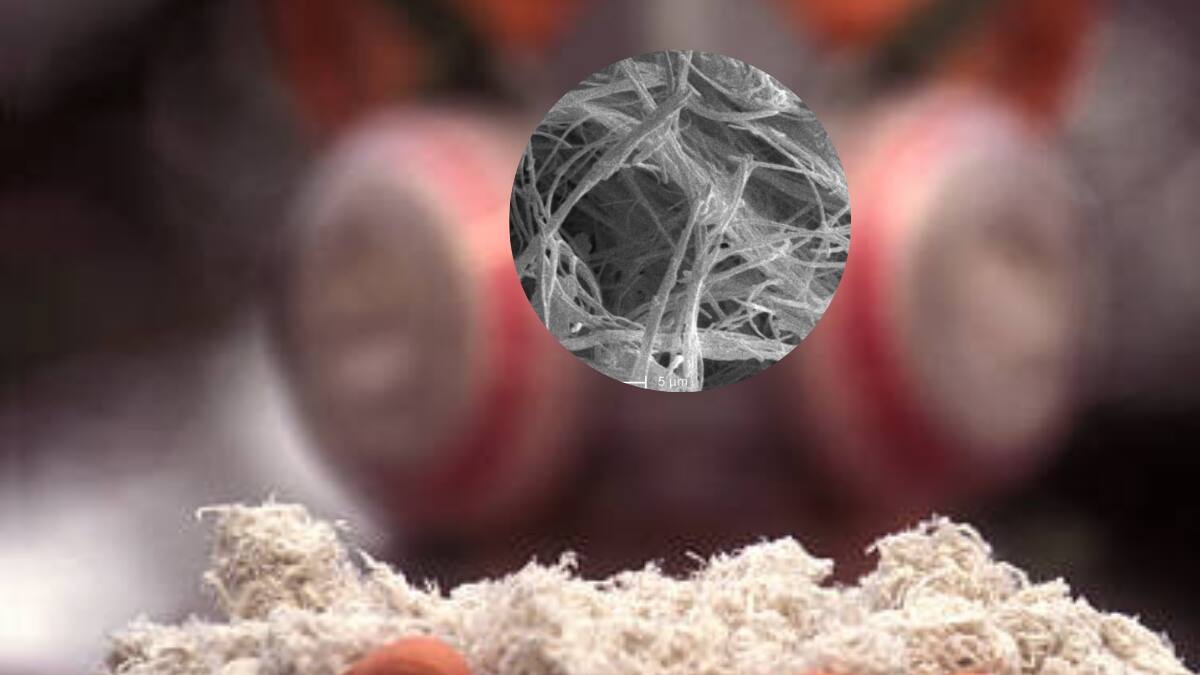 La Contraloría de Cundinamarca advierte sobre al aumento de asbesto en el departamento