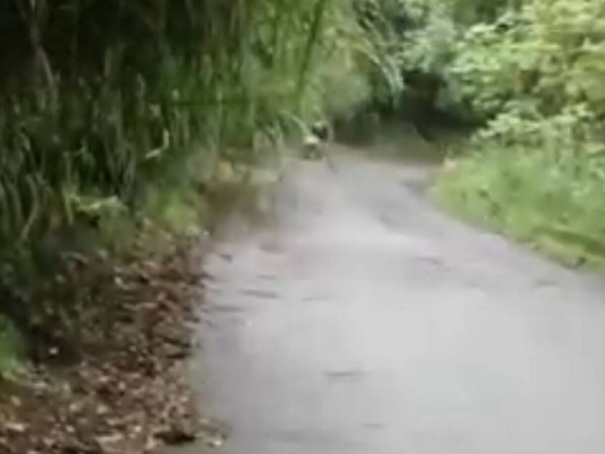 En la vereda Morrogacho de Manizales piden mantenimiento para la vía