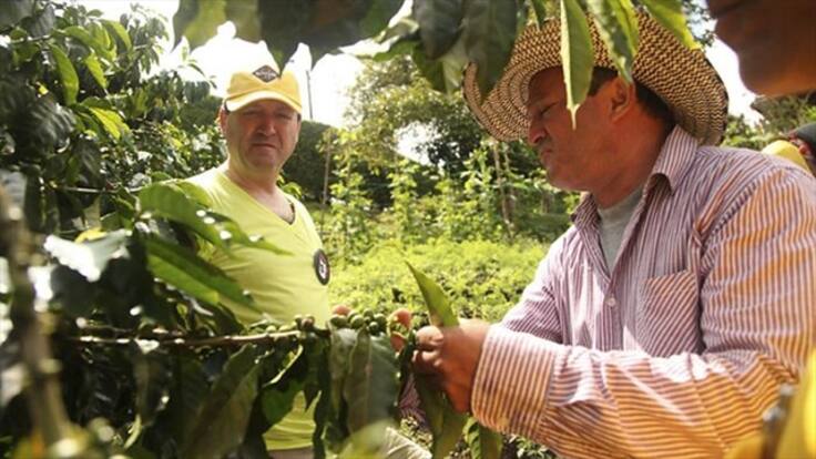 Conozca los temas de la Misión Cafetera que causan polémica con Fedecafé