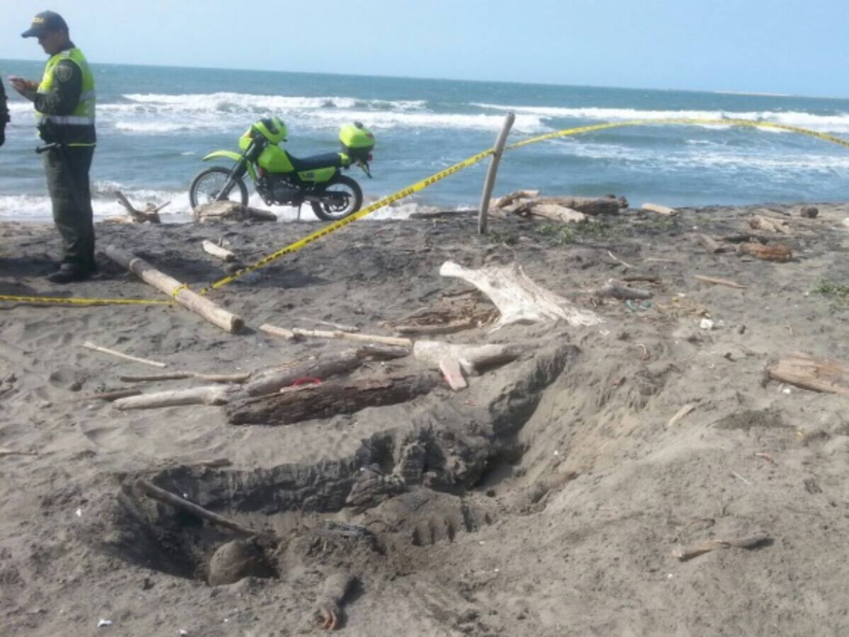 Llamado de alerta por invasiones en playas del Caribe