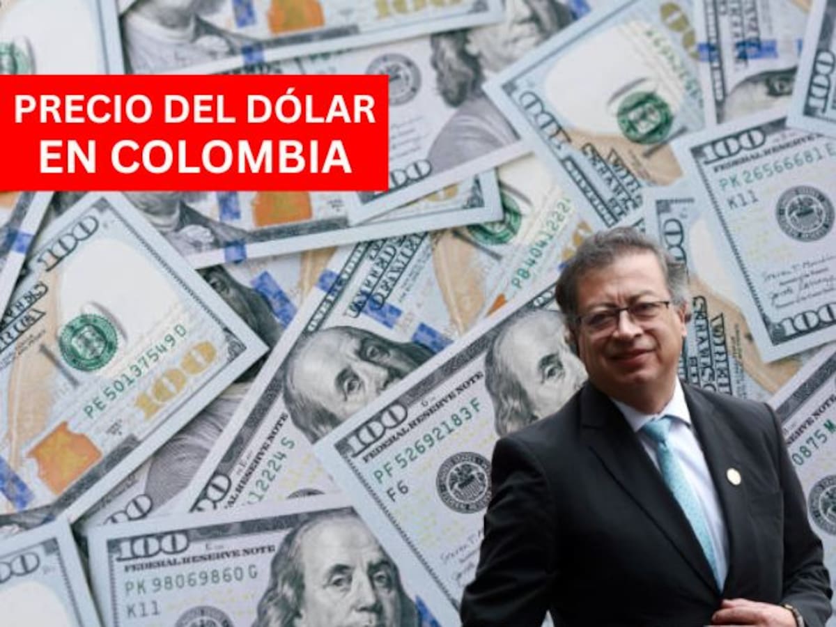 Precio del dólar en Colombia HOY 2 de febrero: hay un nuevo aumento al inicio de mes