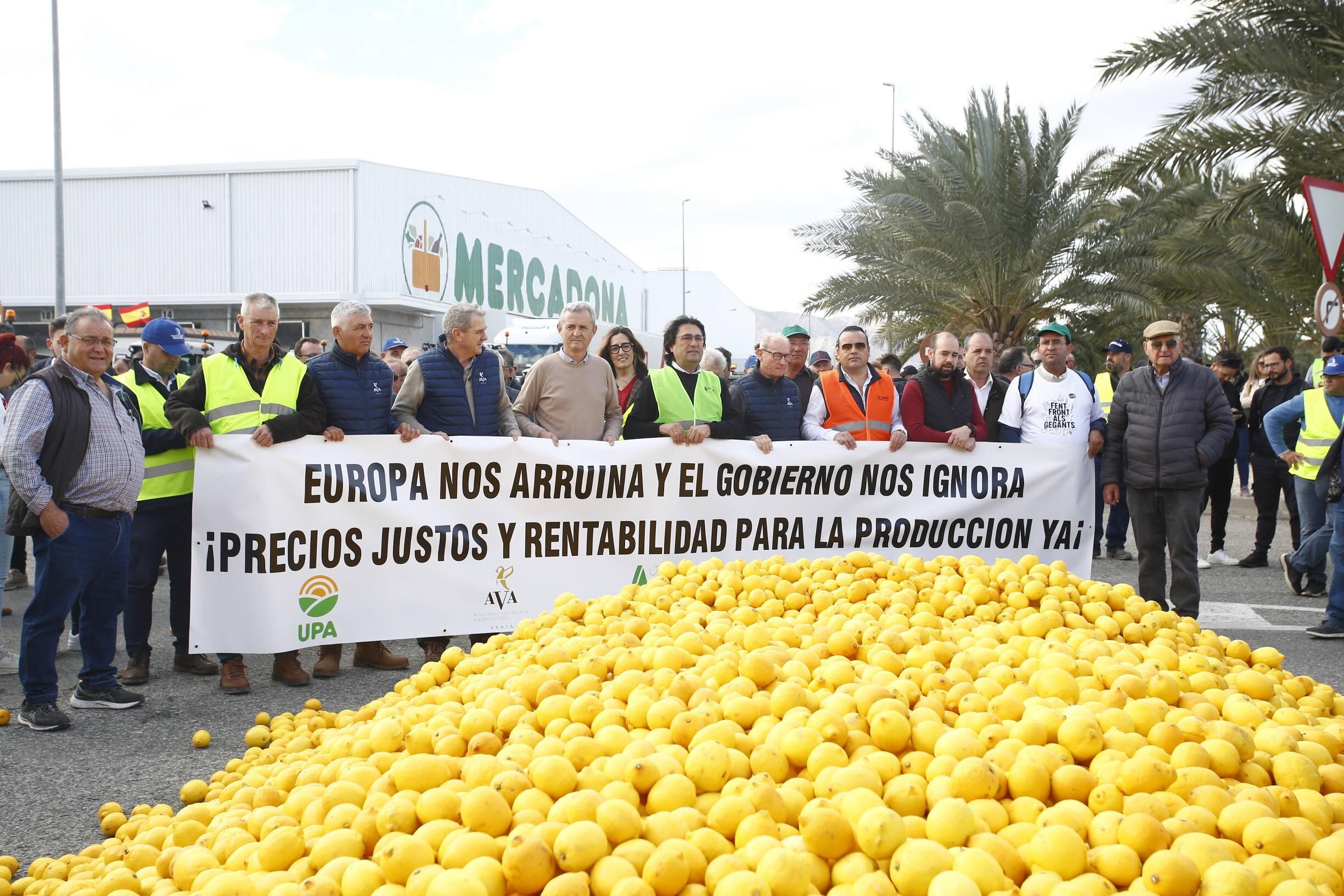ALICANTE VALENCIAN COMMUNITY, SPAIN - FEBRUARY 16: Farmers and ranchers hold banners in front of a hundred lemons on the ground at a demonstration during the eleventh day of protests by tractors on Spanish roads, at the San Isidro industrial estate, on 16 February, 2024 in Alicante, Valencian Community, Spain. Farmers and ranchers from all over Spain have taken their tractors out on the roads for the eleventh consecutive day, to demand improvements in the sector, including aid to deal with the droughts suffered by the countryside. They are also protesting against European policies and their lack of profitability. This mobilization takes place one day after the meeting that the Minister of Agriculture had with the agrarian associations in Madrid. Although the meeting ended without agreement, Planas announced the creation of a state agency for information and food control to increase inspection capacity and the elimination of the mandatory implementation of the digital field notebook. (Photo By Joaquin Reina/Europa Press via Getty Images)