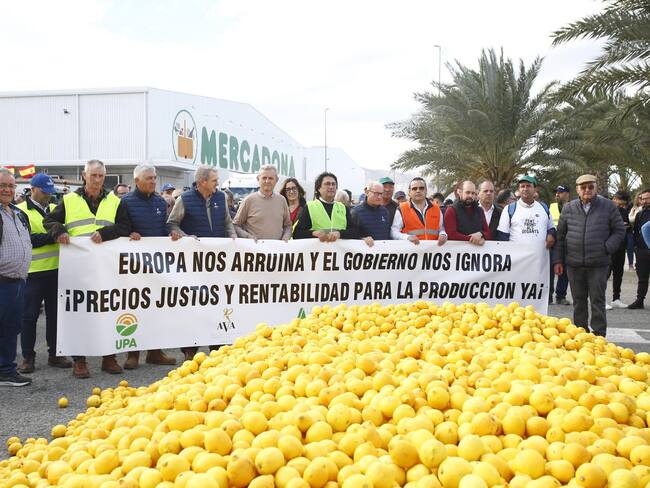 ALICANTE VALENCIAN COMMUNITY, SPAIN - FEBRUARY 16: Farmers and ranchers hold banners in front of a hundred lemons on the ground at a demonstration during the eleventh day of protests by tractors on Spanish roads, at the San Isidro industrial estate, on 16 February, 2024 in Alicante, Valencian Community, Spain. Farmers and ranchers from all over Spain have taken their tractors out on the roads for the eleventh consecutive day, to demand improvements in the sector, including aid to deal with the droughts suffered by the countryside. They are also protesting against European policies and their lack of profitability. This mobilization takes place one day after the meeting that the Minister of Agriculture had with the agrarian associations in Madrid. Although the meeting ended without agreement, Planas announced the creation of a state agency for information and food control to increase inspection capacity and the elimination of the mandatory implementation of the digital field notebook. (Photo By Joaquin Reina/Europa Press via Getty Images)