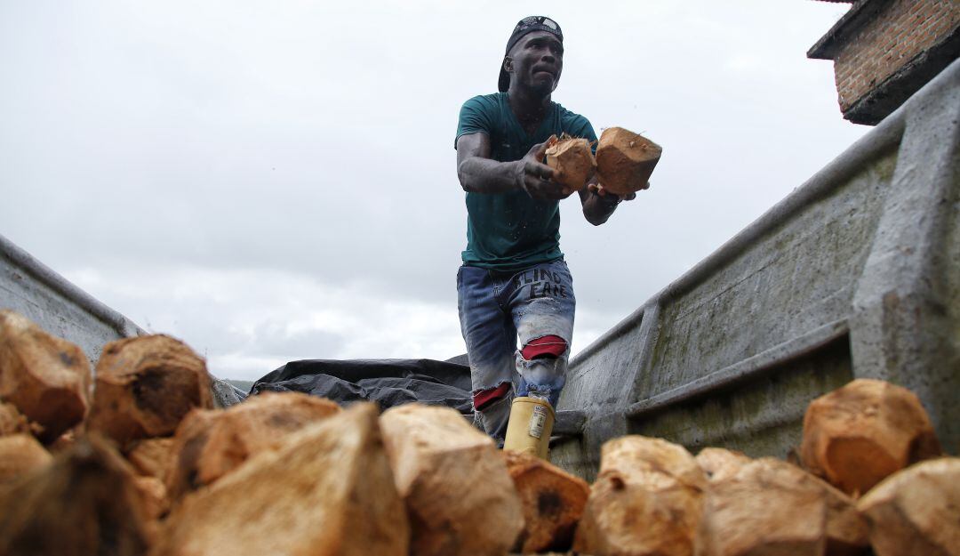 Advierten que 49% de excombatientes sigue sin tener proyectos productivos