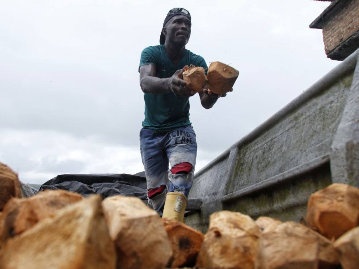 Advierten que 49% de excombatientes sigue sin tener proyectos productivos