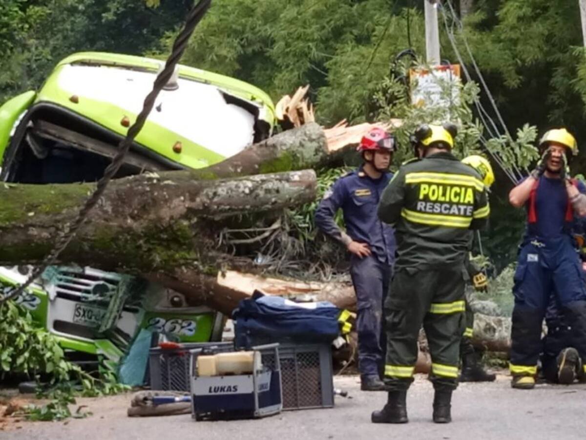 Un gran árbol cae sobre una buseta con pasajeros