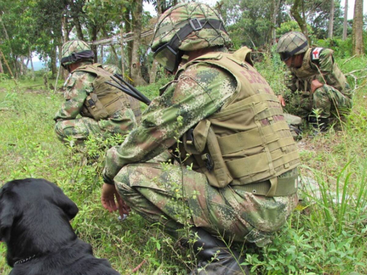 Ejército debe realizar valoraciones médicas a soldados para determinar el estado de salud mental