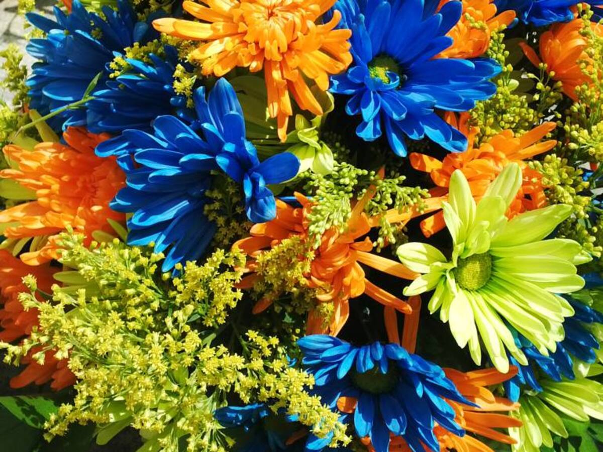 100 mil tallos florales entregaron a silleteros en el Parque Comfama Arví