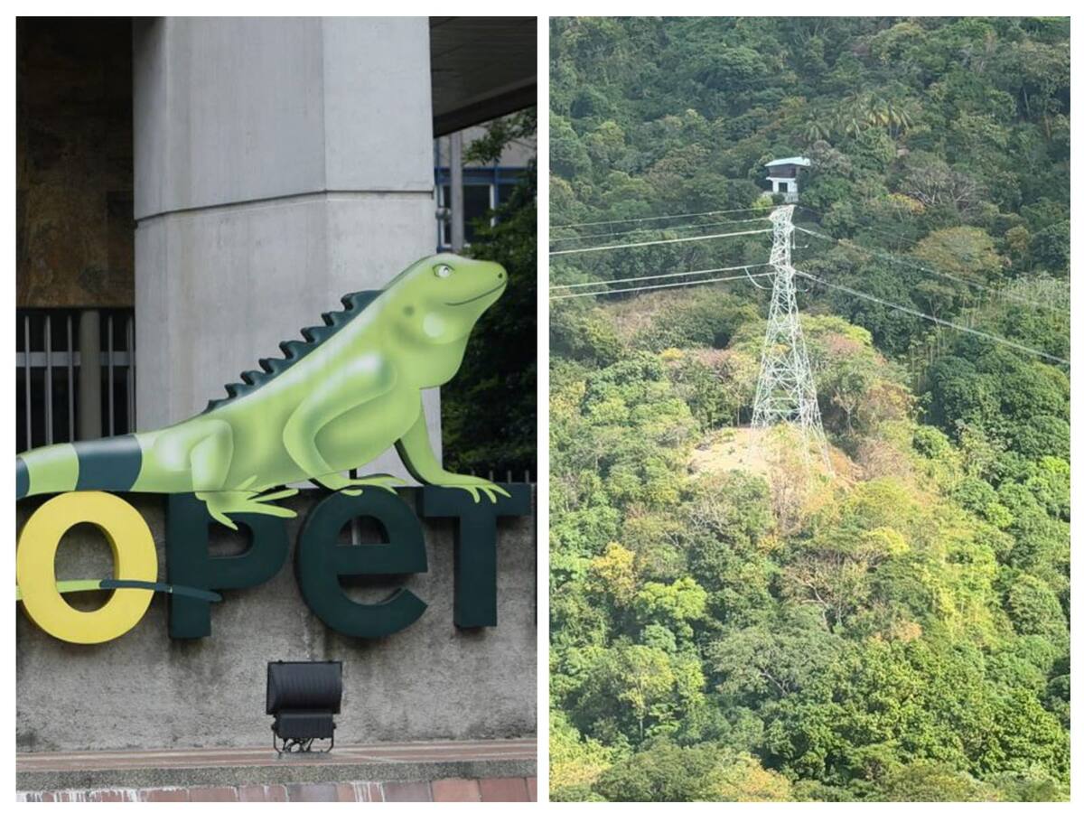 Contraste en sector energético en asambleas de Ecopetrol y el Grupo de Energía de Bogotá