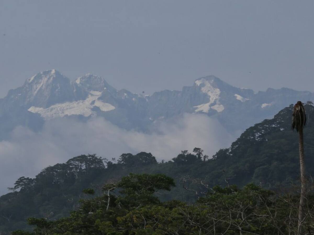 La Sierra Nevada pide ayuda aérea por incendios forestales