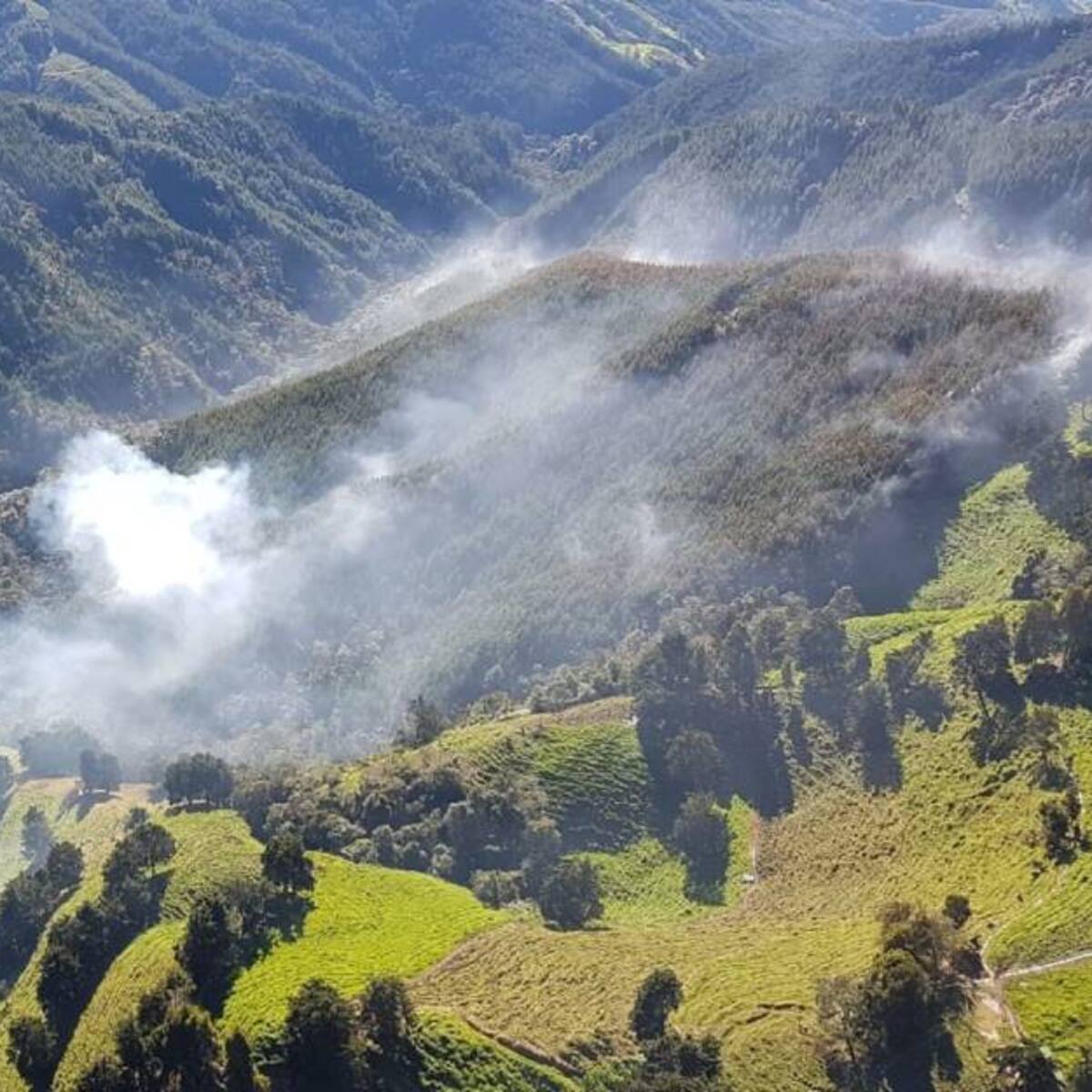 Aumentaron los puntos con riesgo de incendio forestal en Colombia