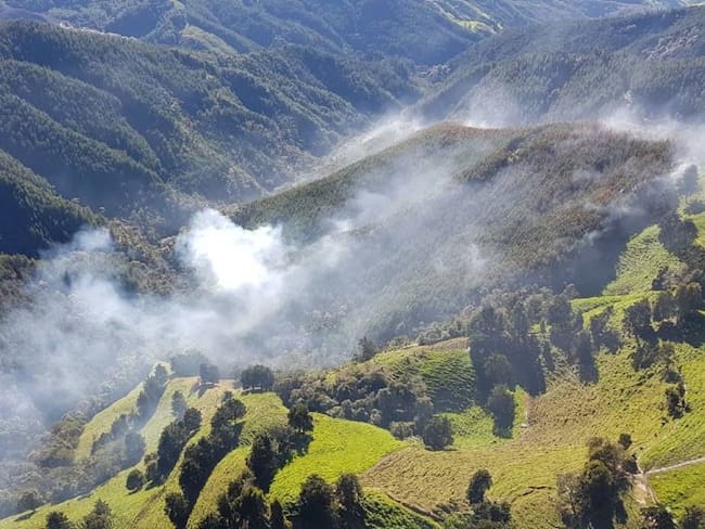 Incendios forestales en Colombia. Foto: Colprensa. 
