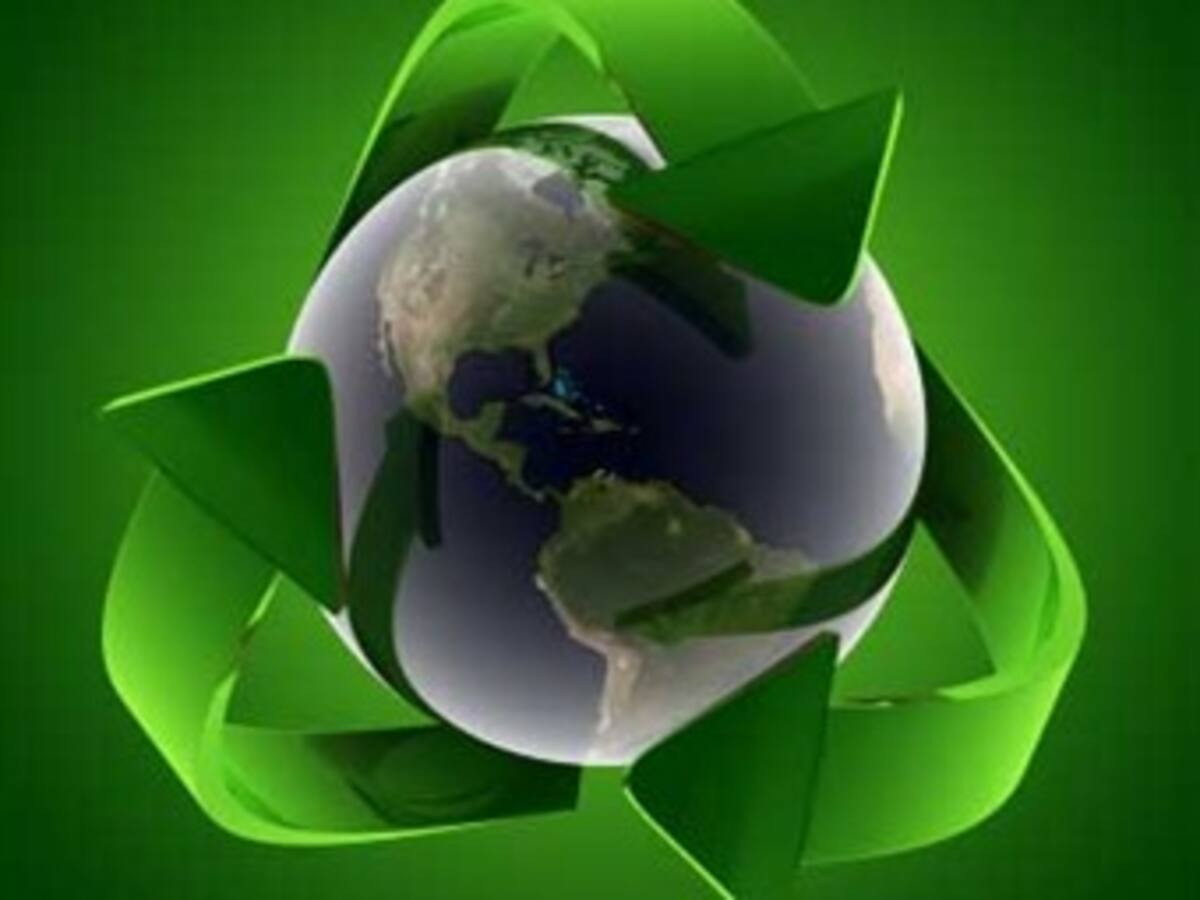 Compañía de gestión en documentos aportó a la sostenibilidad ambiental en este año