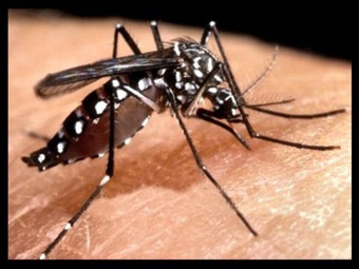 Investigación alerta por incremento de dengue por tiempo seco en Antioquia