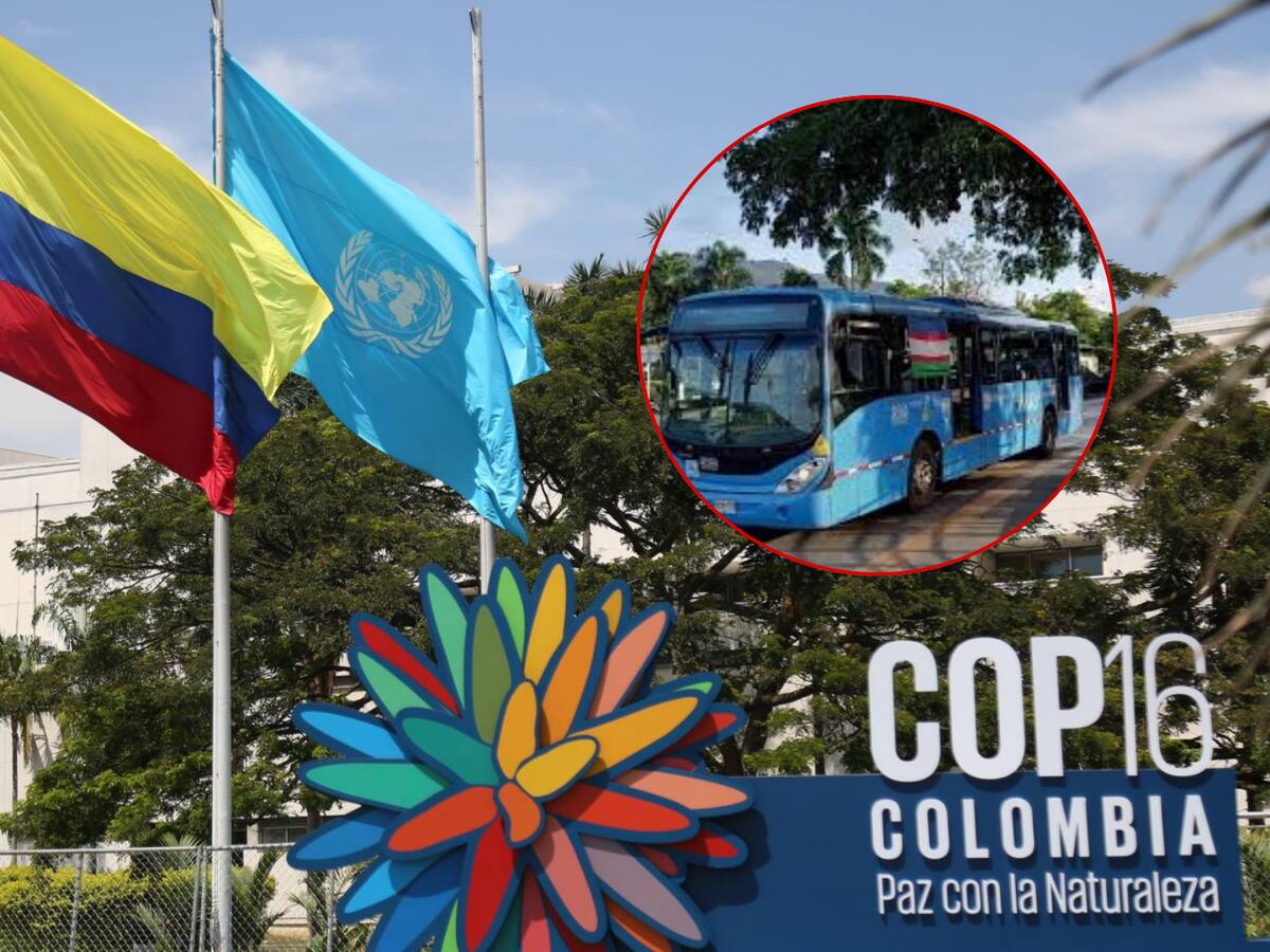 Conozca cómo llegar al corazón de la COP16 con 45 rutas del MIO
