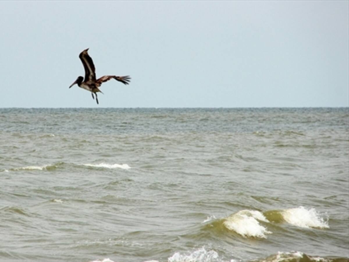 Aplican alerta y restricciones en la navegación en golfo de Urabá