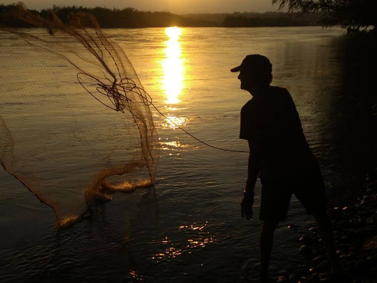 Proyectos que benefician a pescadores de Honda Tolima aún no se realizan
