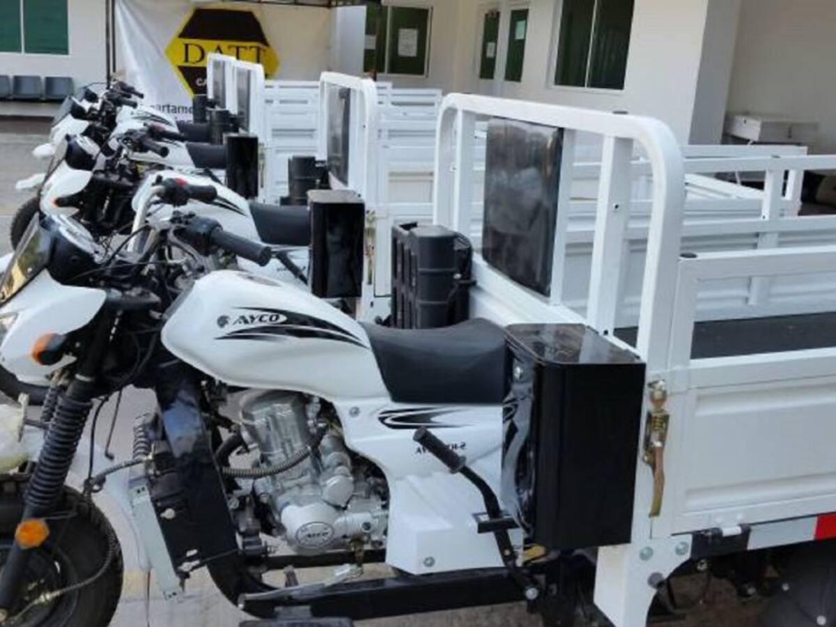 Los motocarros no son indispensables para la sustitución: animalistas