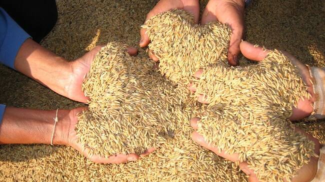 Dignidad Agropecuaria del país anunció movilización nacional el 12 de octubre. Foto: Colprensa