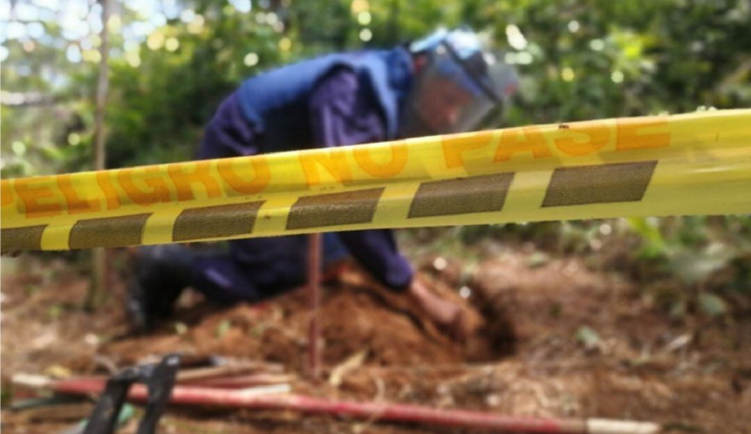 El proceso de desminado se desarrolló durante cinco años en más 160 veredas.