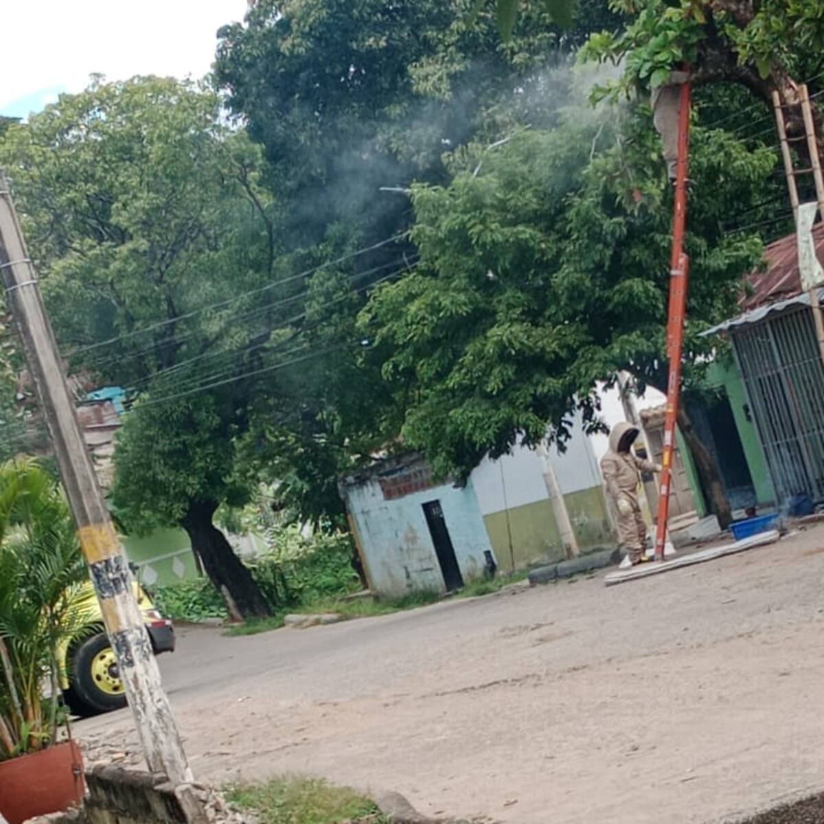 Ciudadanos de Neiva atacados por enjambre de abejas