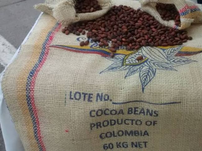 Cacao colombiano ganó el oro en Ámsterdam