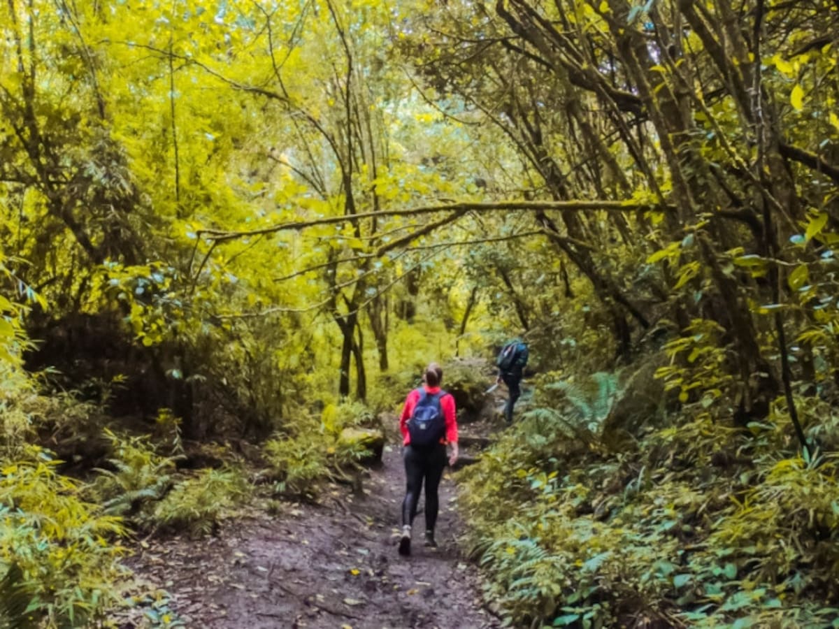 Estarán suspendidas las visitas a los senderos de los cerros orientales en Bogotá por elecciones