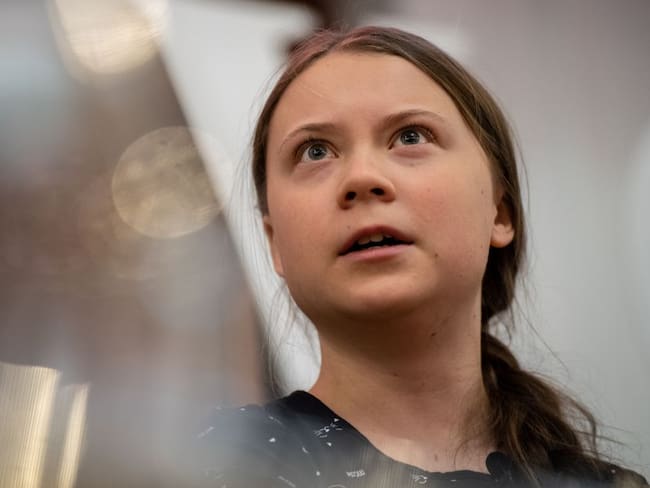 Thunberg y 15 activistas denunciaron a cinco países por crisis climática
