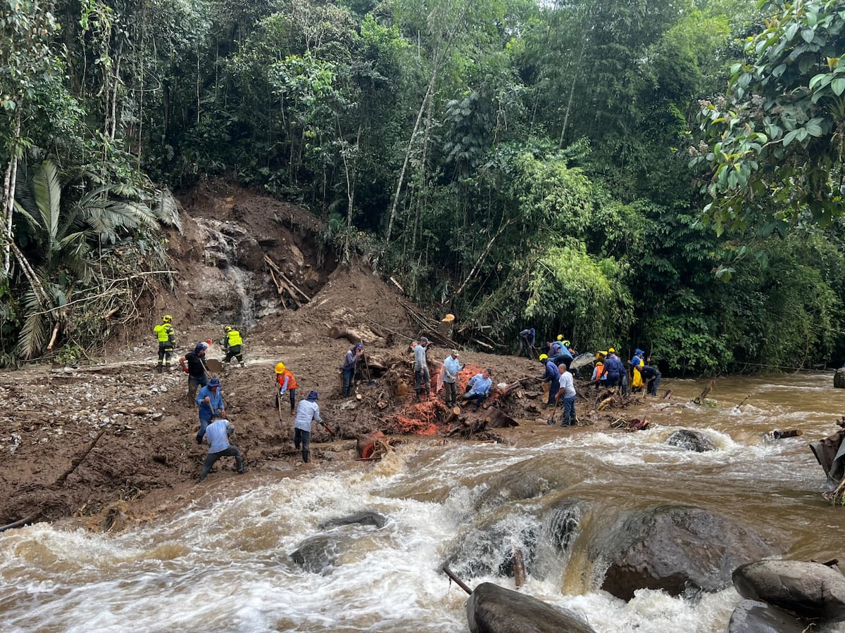Derrumbe en La Florida, en Pereira, deja más de 100 árboles atravesados en la quebrada La Cristalina