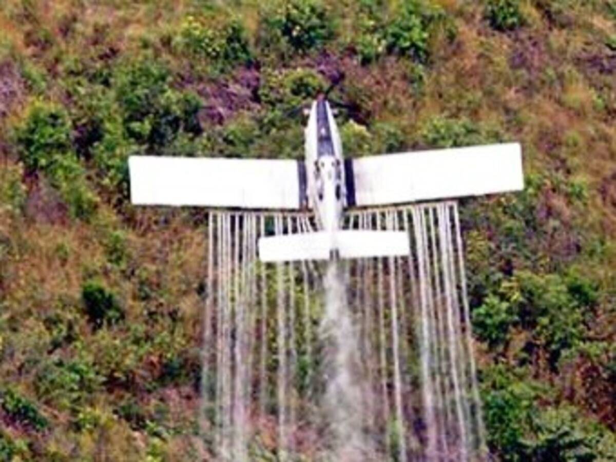 “Por mala puntería” se fumigan con veneno cultivos lícitos: Minagricultura