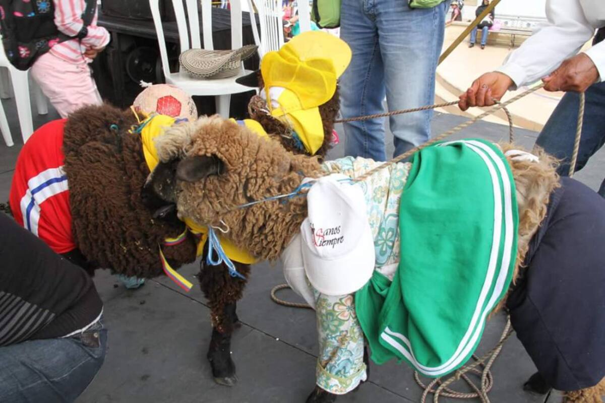 Más candidatas del reinado de Ovejas en Nobsa, Boyacá.