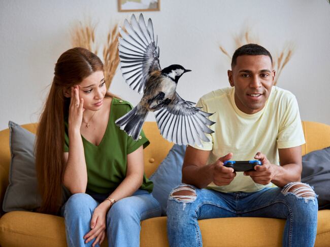 Así funciona la 'teoría del pájaro' que revela si la relación de pareja está rota. Getty Images