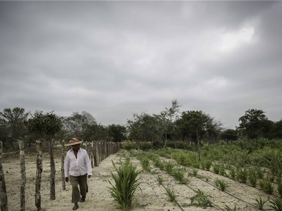 Caldas: Ayudas para afectados por El Niño suman $5.000 millones