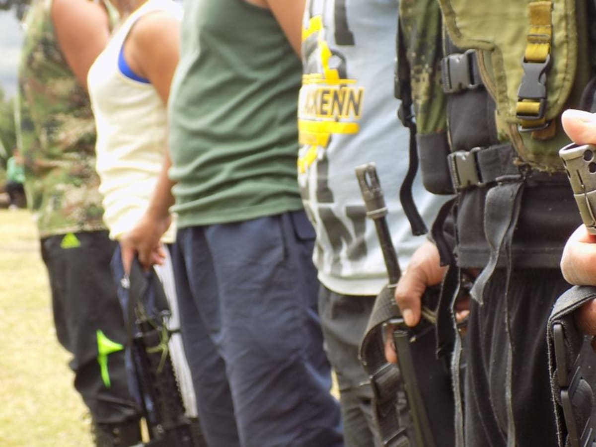 Miguel Ceballos: “Ya no hay más menores en los listados de exFarc”