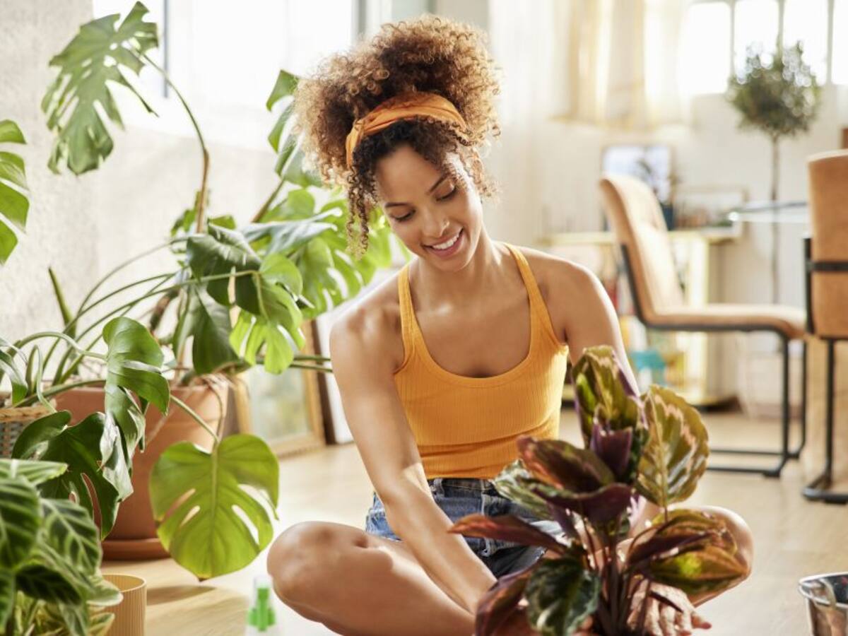 ¿Por qué hoy es The Yellow Day? El día más alegre del año