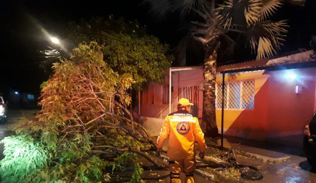 suministrada Defensa Civil Tolima