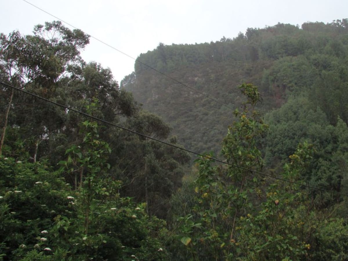 Rescatan a cuatro personas que se habían perdido en los Cerros Orientales