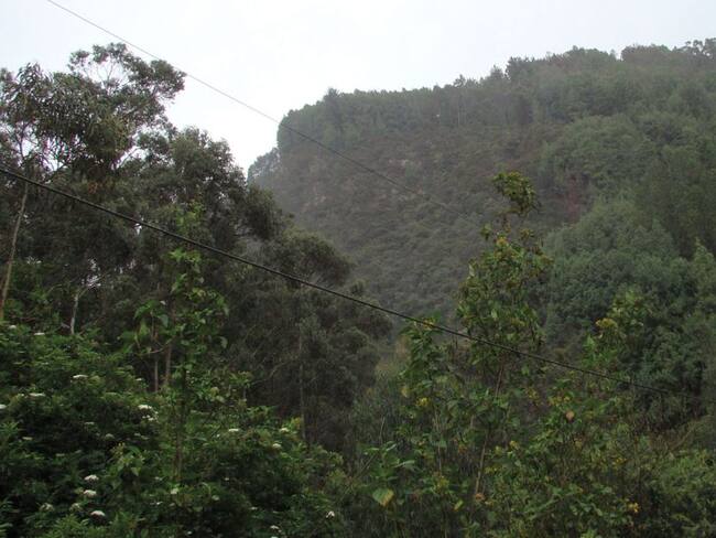 Rescatan a cuatro personas que se habían perdido en los Cerros Orientales